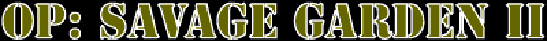 Object Image, replacement for Object that Trellix was unable to create from RTF.